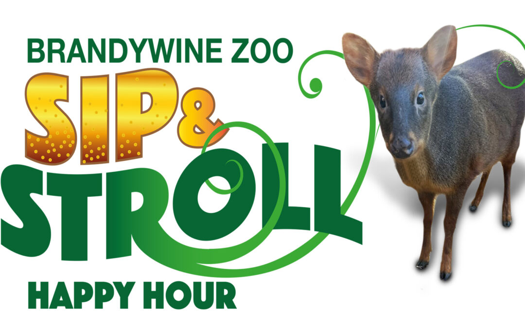 Sip & Stroll at the Brandywine Zoo June 2023