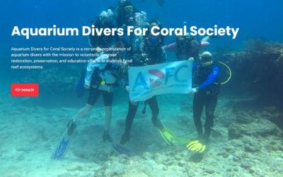 Michael Anderson: Diving Deep to Save Coral Reefs